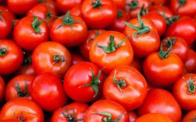 Dangote Advocates Total Ban on Tomato Importation